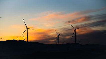 中国风电第一大省,将种下更大的风车