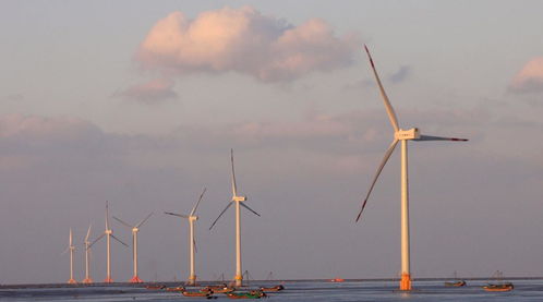 广东阳江再增两座海上风电场,总装机容量100万千瓦,投资216亿元